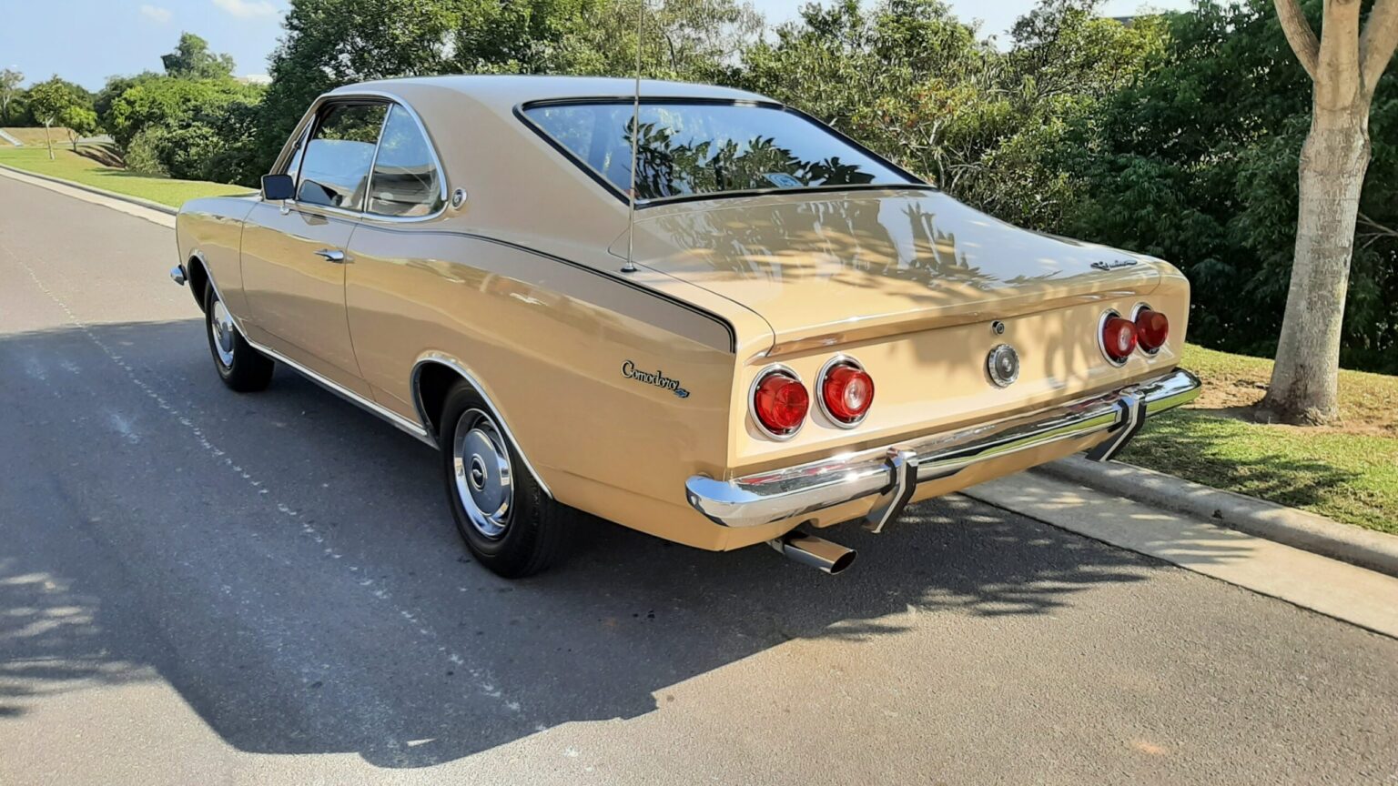 20220731_140123-opala-79-scaled